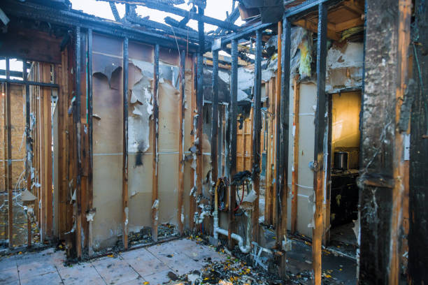 Professional Emergency Fire Cleanup technician working in Lewisville, WA